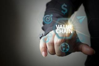 value chain